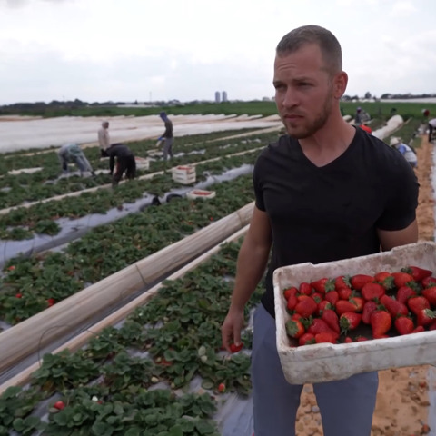 הורה סיירי התות: החקלאים שיוצאים לשדות, לרפתות ולמשקים תחת איום הטילים