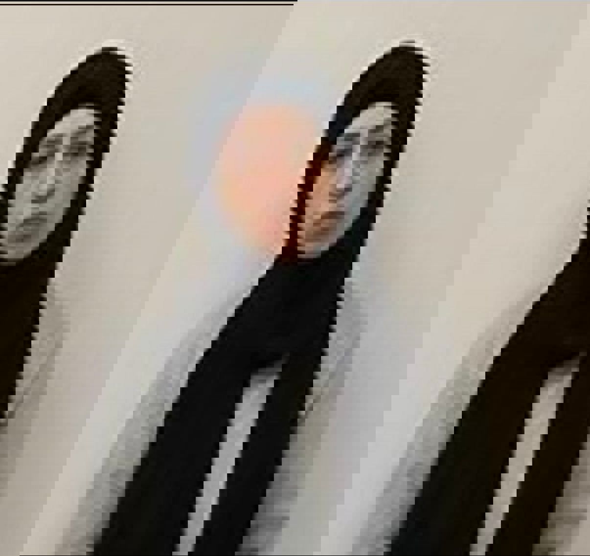 הנאשמת בריגול לאיראן שומוע אבו עאבד