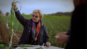 הצלחת של הארץ המובטחת | פרק 2 - עשב ירוק לאכלה