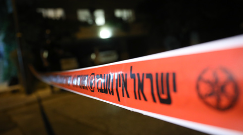 נועם ריבקין פנטון, פלאש 90