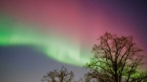 הזוהר הצפוני בשמי העיר ברלין שבגרמניה, ינואר 2026