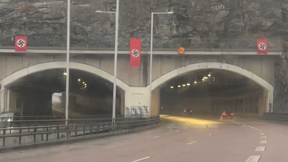 דגלים נאציים בשוודיה