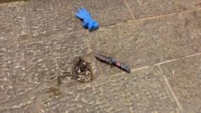 הסכין ששימשה את המחבל