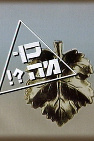 Poster Image Small 239X360 פוסטר קטן כן מה