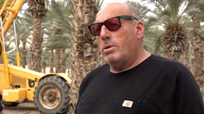 "שורשים באדמה": הפרידה מפושקו - הקול והסמל של הגליל