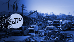 שריפה בהוואי