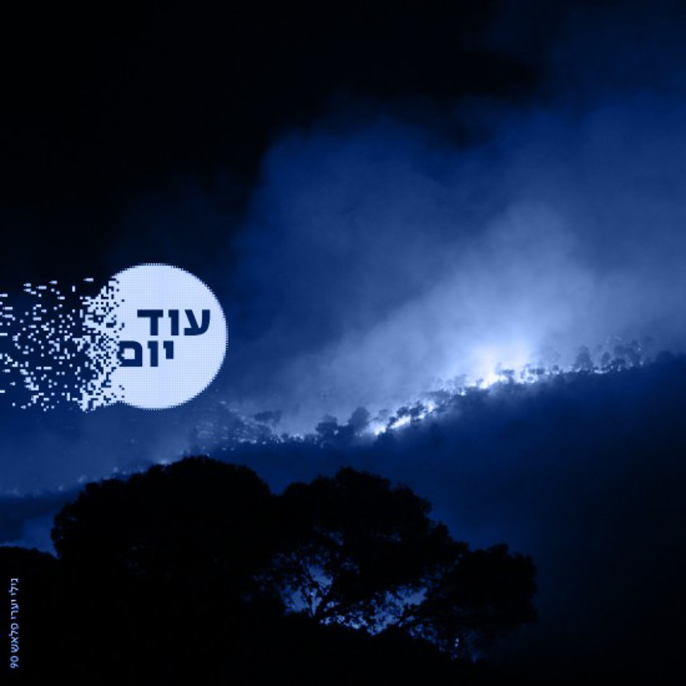 שריפה בכרמל ריבועי 010126