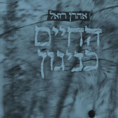 כריכת הספר 'החיים כניגון'
