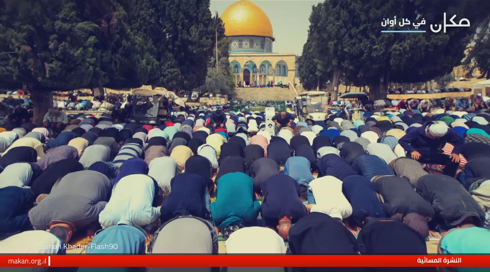 النشرة المسائية