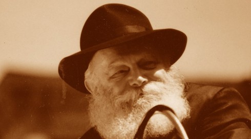 מנחם מנדל שניאורסון