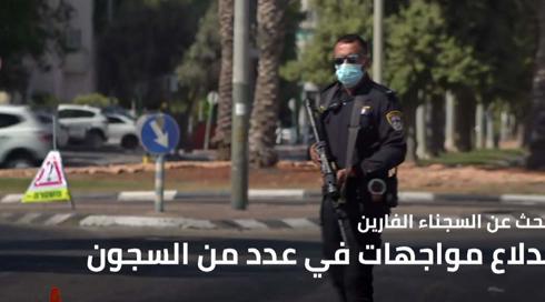 النشرة المسائية 