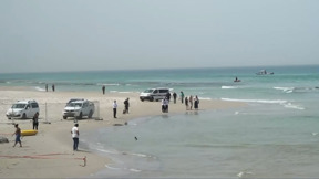 האם תקיפת הכריש בחדרה הייתה עניין של זמן?