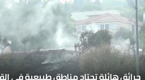 الخامسة في مكان 16.8