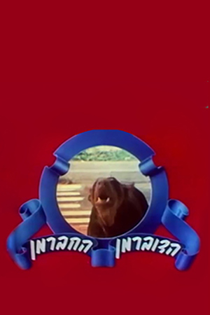 Poster Image Small 239X360 פוסטר קטן