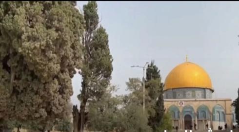 النشرة المسائية مع نسرين ابراهيم ابو غوش 23.5.2022