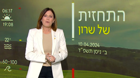 תחזית