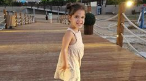 אביב כץ אשר