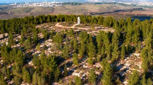 והארץ היתה תוהו ובוהו | פרק 7