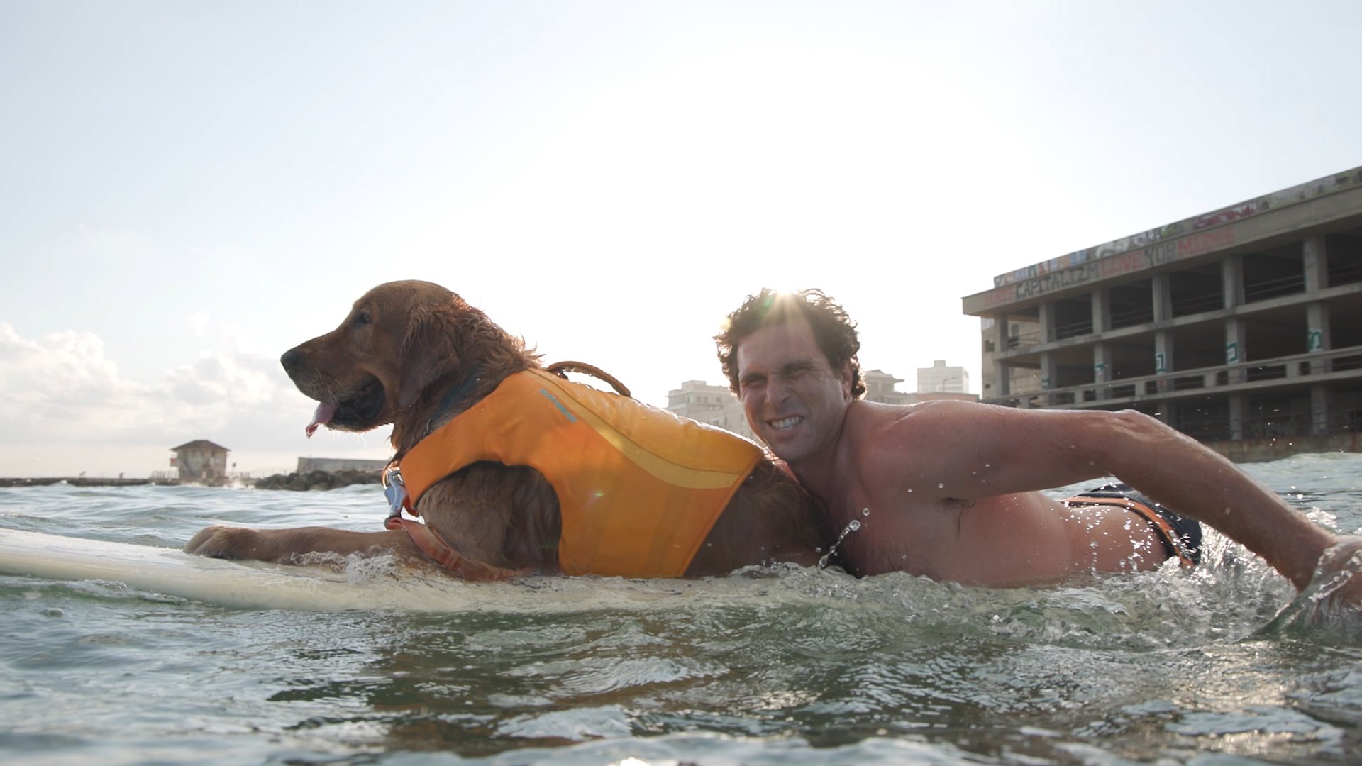 דוקותיים | השייט והכלב