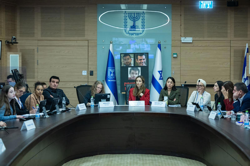 הדיון בוועדה למעמד האישה על אלימות כלפי נשים 25.11