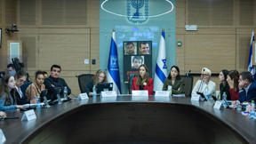 הדיון בוועדה למעמד האישה על אלימות כלפי נשים 25.11