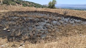 הזיהום ברמת הגולן