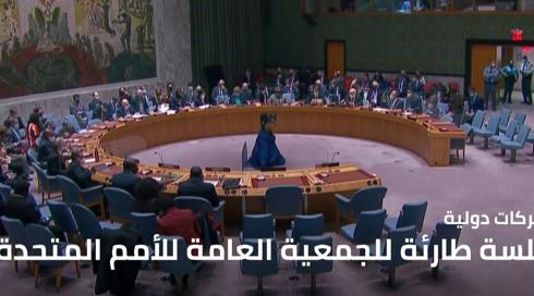 الجمعية العامة 