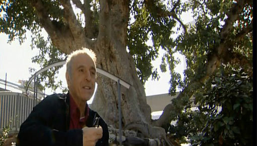 מתוך " 10 קטנות". 2013