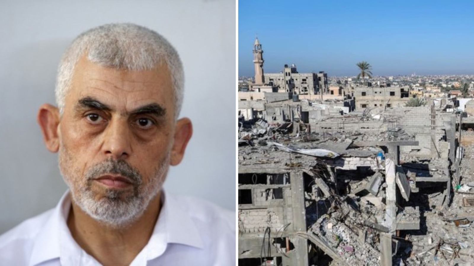 סינוואר - 10.12.23