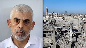 סינוואר - 10.12.23