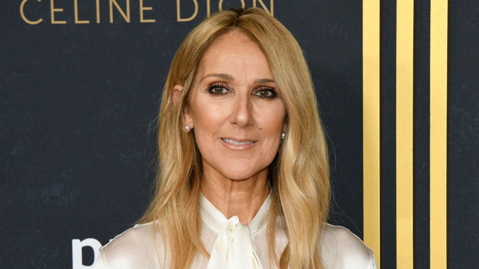 סלין דיון בניו יורק, יוני 2024