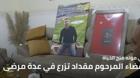 النشرة