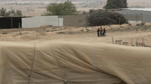 نشرة مسائية