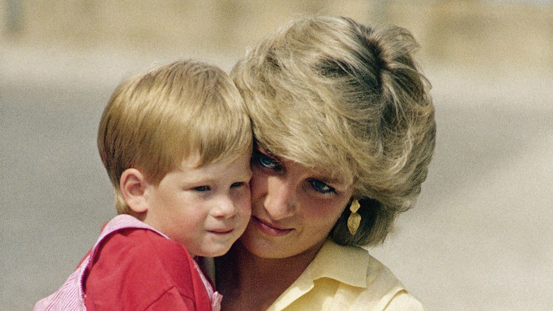 הנסיכה דיאנה והנסיך הארי, 1987