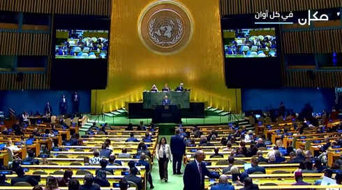 الجمعية العامة