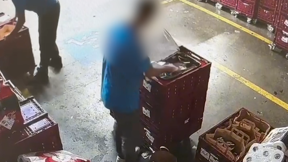 דוברות המשטרה