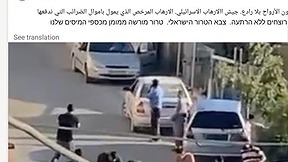 פרסום של ורדה סאאדה