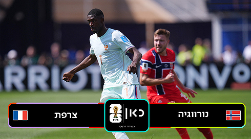 תקציר