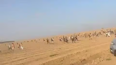 המחבלים טעו בדרך והגיעו לנובה, צה
