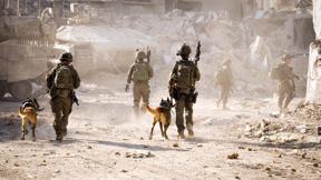 פעילות צה"ל בשכונת תל סולטאן ברפיח