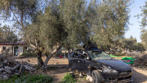 קיבוץ נירים