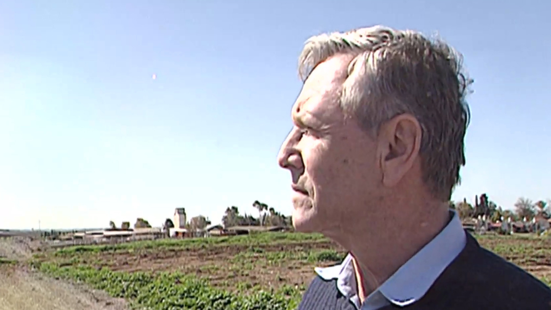 עמוס עוז בקולנוע