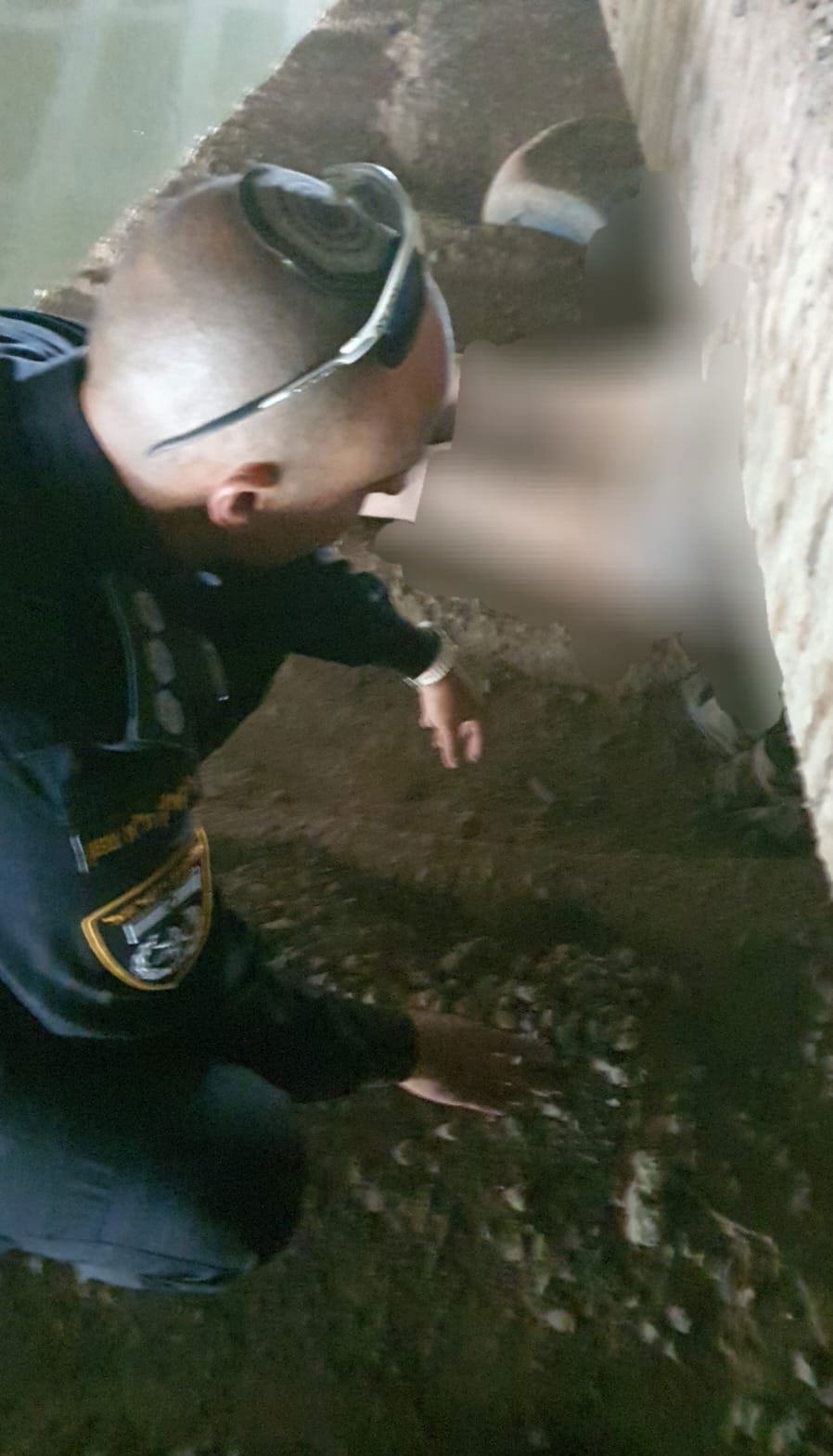 איתורה של פרופ' נורית יערי מתחת לגשר איילון