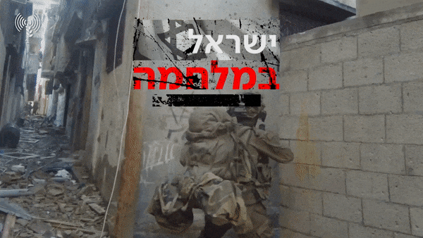 לוחמי אגוז בשאטי 23.11