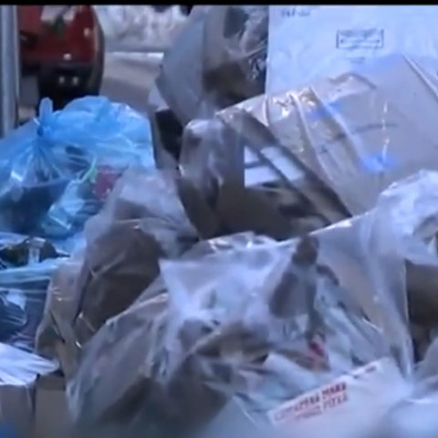 עידן ממדאני: ניו יורק מלאה בזבל