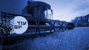 תבואה