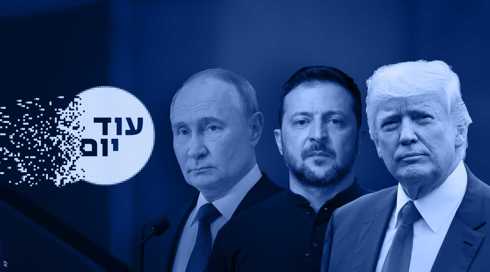 דונלד טראמפ, ולדימיר פוטין, וולודימיר זלנסקי