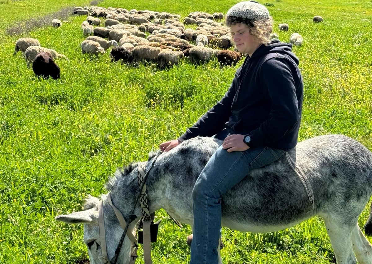 בנימין אחימאיר