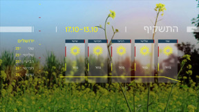 התחזית 12.10.25