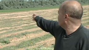 ניר עם חקלאות בסכנה - קל